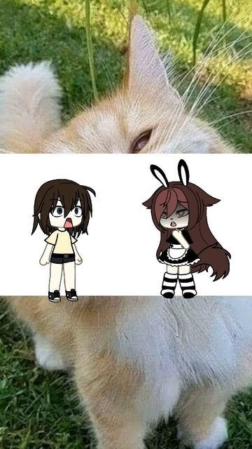 прости я конечно хотела тебя сжечь.... подпишитесь пожалуйста на @Cite_Lanochkaa :), с прошедшем 8м