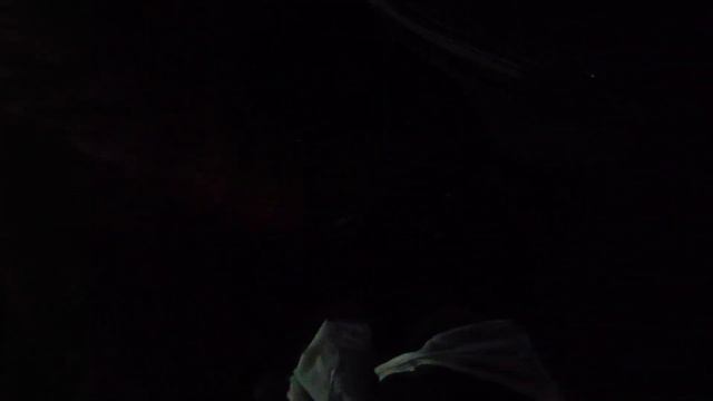 Первый отдых ,проехали 320км