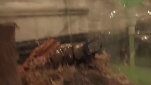 Dynastes Hyllus Hyllus