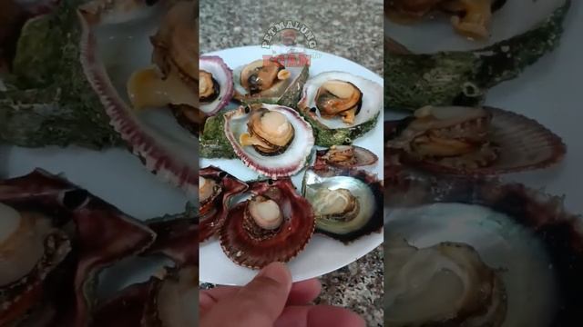 OYSTER 🦪 Muna Tau Mga Egan #PinoyAnglers #buhayofw