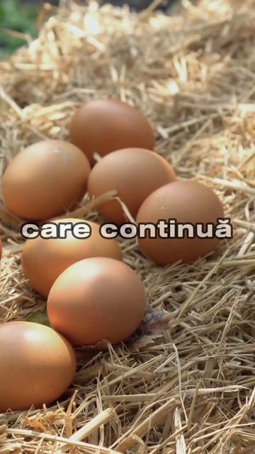 Gaina Batrana Masina De Reciclat