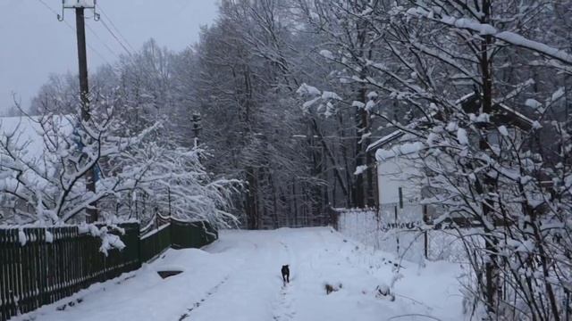 Зимовий ранок за містом.  Гарних вихідних!