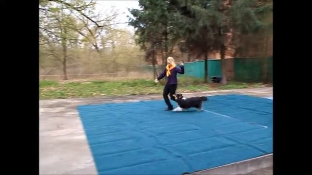 Аня Калинина и Дэй