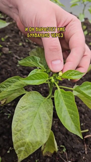 506564a9f0f94b7cd0623da03fe92b60