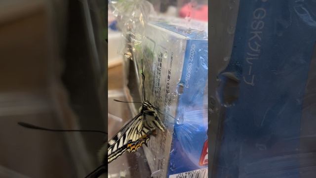 7f24fa0ac7b1be72b7df6e4218c63a6b