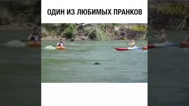 ПРАНК С КРОКОДИЛОМ