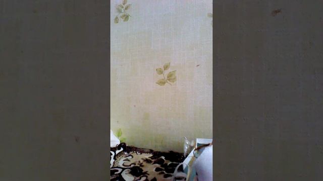 Амуниция для лошади