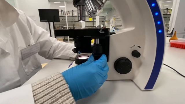 Ученики профильных классов Лицея «Сириус» изучают растения, которые помогут в борьбе с раком