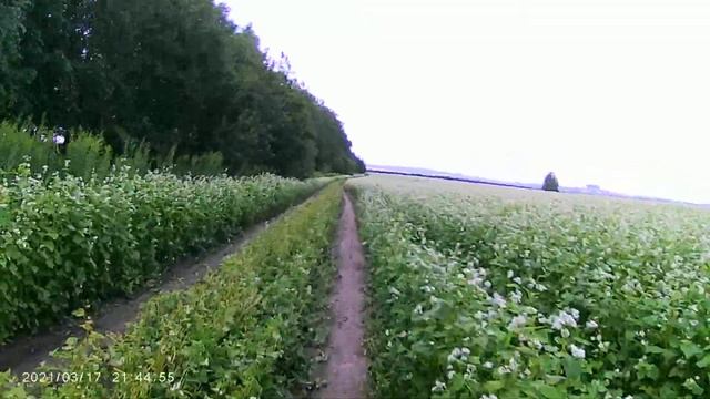 ПОЕЗДКА ЗА ШЛИХОМ НА РЕКУ.