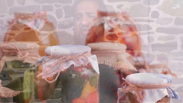 A Project Of Elon Musk Younger Brother | Square Root | Vertical Farming