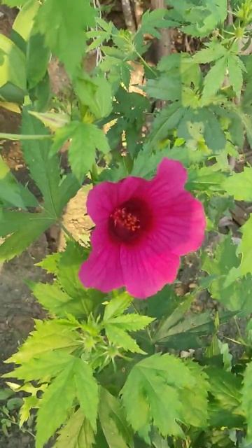 B431877611d52e8093a84a1cadb4c648