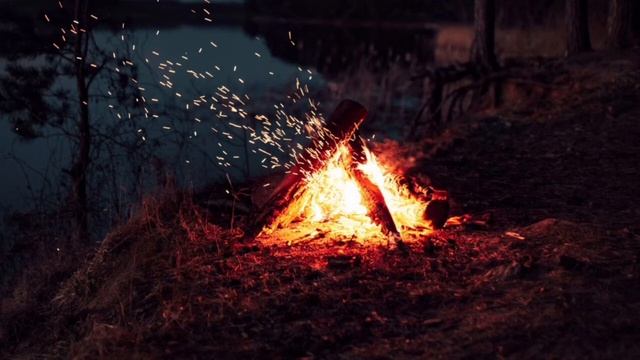 Абсолютный релакс - костёр в лесу.