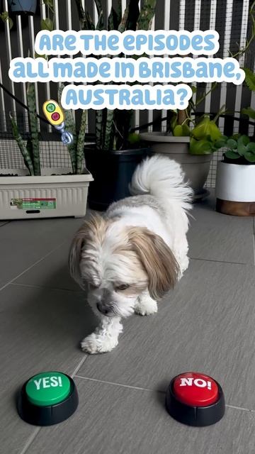 Meet Winnie The Bluey Office Dog #shorts | Bluey