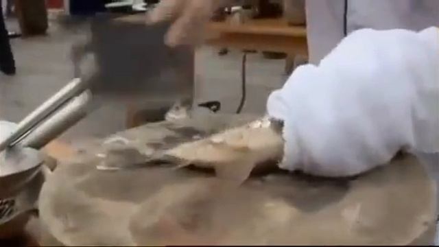 4d8c9f3b931678e8a6574a3a77687979