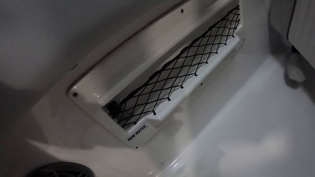 THIS SHARK ALMOST TOOK RICKYS LEGS OUT!