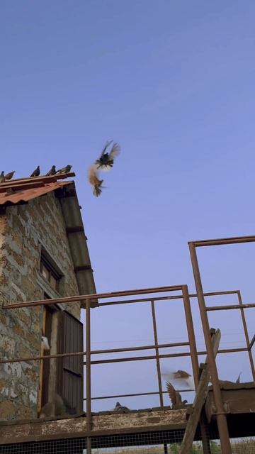 22 июля 2023 г.