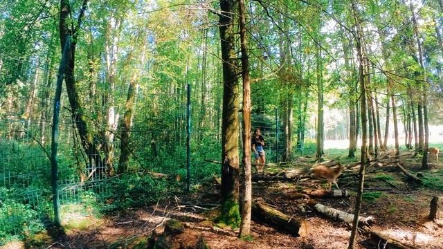 7028233da8a62df7ac3cec629bd7eb2c