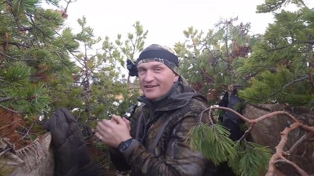 Мои дудочки от Д.Мельника и А.Аливы