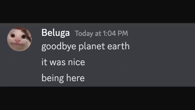 сборник белуги