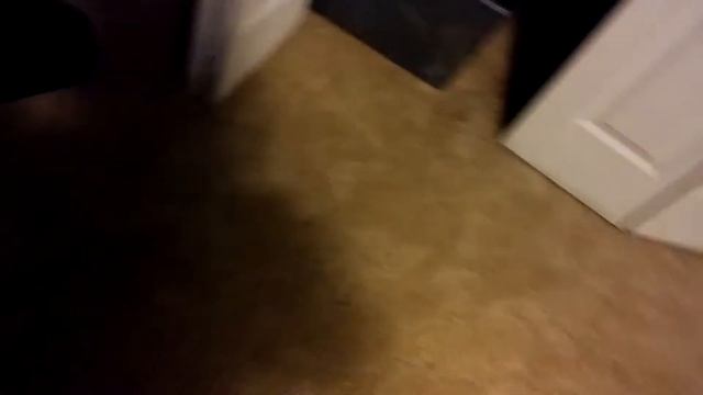 Skate Shoes And Other Stuff