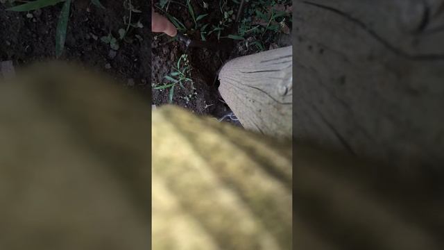 65b49c0533759a511aa0a9060e6d0ed5