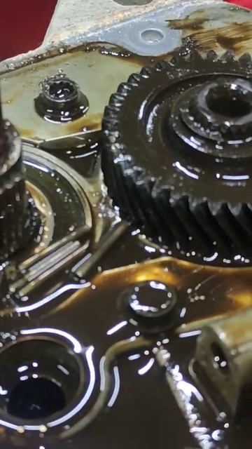 Фрагмент вскрытия 5ст МКПП  OCTAVIA A5 с кодом NVT. #трэш  Ремонт МКПП VAG за 1 день +7(920)6024832