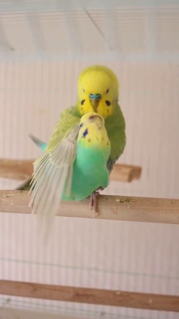 It’s A Journey ❤️🔥