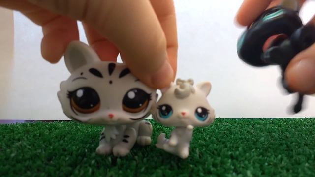 Моя коллекция петов