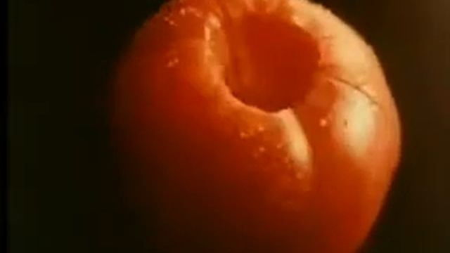 607ecad3e3e87c7e0e073e10ce1a3b20