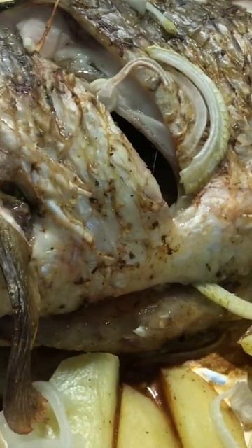 5b886717db6898d99f10a9fe6faebbc2