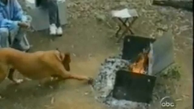 D4c23136a0b9936c5e90042939e7c0e9