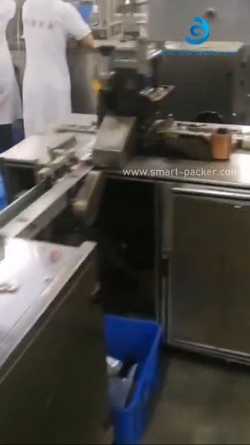 Automatic Tea Bag Filling Sealing Cartoning 3D Film Overwrapping Packing Line Video