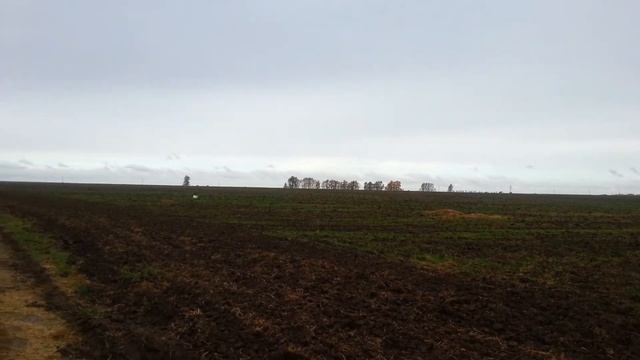 Закрытие сезона 2015. Коп по Китаю. Часть  2.