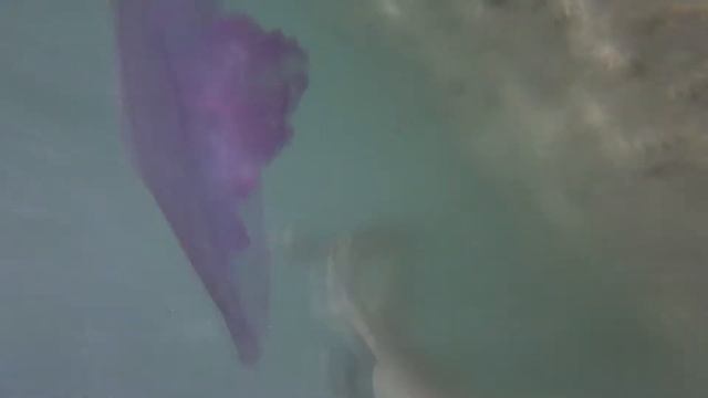 Egiptus 2017 Titanic Palace Hurghada