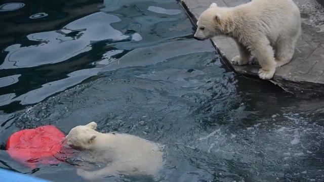 На берегу понадёжнее будет.