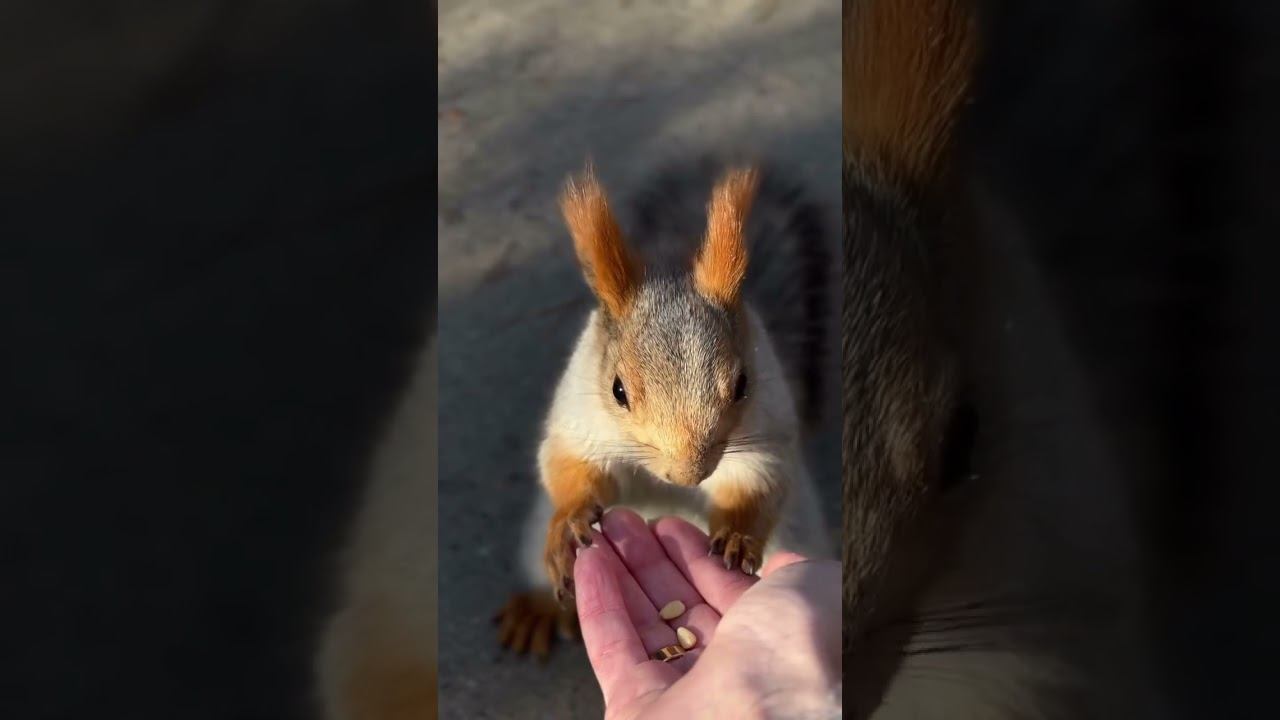 4d7ab8345fe3f28ef47f1a4ca6d63688