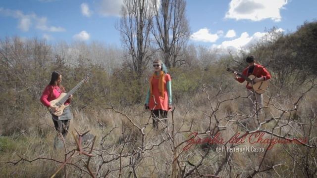 Zamba Del Chaguanco~H. Herrera Y A. N. Castro~ibopé