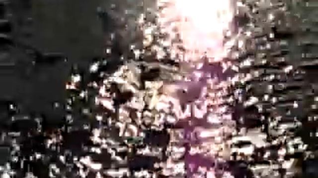 ЕКБ 2011 29 Марта - очень много уток.MP4