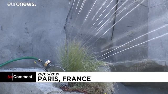 Állati Hőség Párizsban