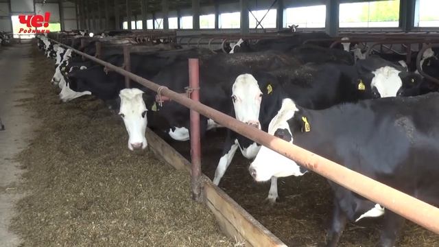 Визит губернатора на село