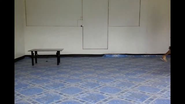 Flying Shuffle Dance By Earl Darrel