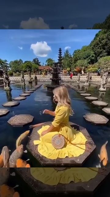 Японские карпы кои.