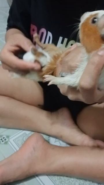 22 Tháng 12, 2022