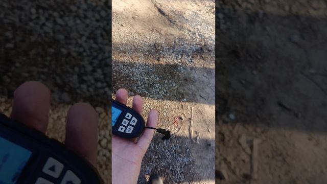 Солярис 16 год