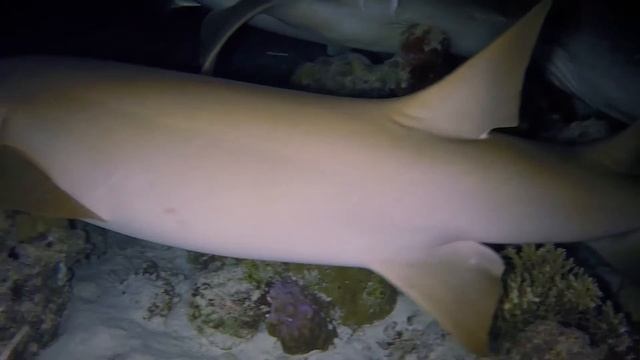 E95ab5f6ec84817e0e86217aa14aefd1