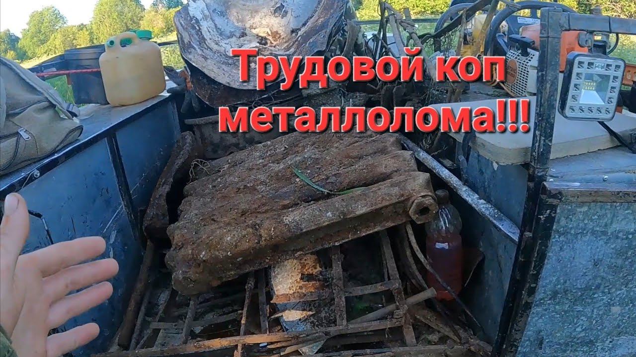 Трудовой металлокоп. Делянки, деревня копаем везде где только можно.