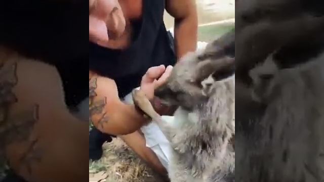 Fcd7d063f4822d5e3b3c52a6454cdc4e