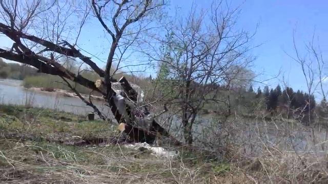 2-день стоянки.Прогулка по лесу.