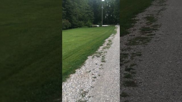 Evidence: Rusted Chain Stuffed In Vinyl Siding, Solar Light Damaged, Shed Grease, Baby Guinea, TI