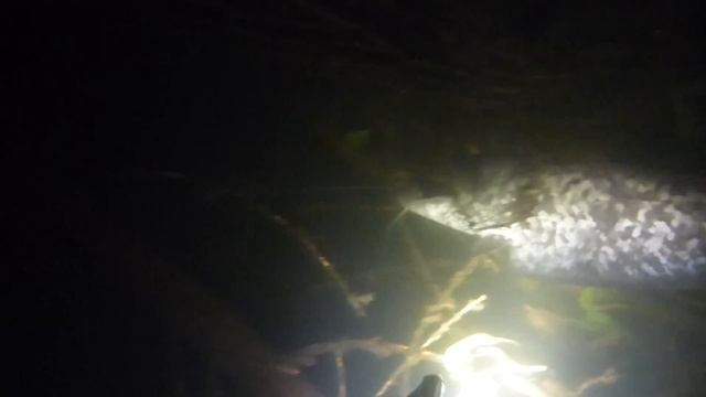 Усатый в завальчике